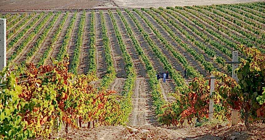 Denizli'nin Saklı Rotası : Çivril Çal Buldan Turu 
