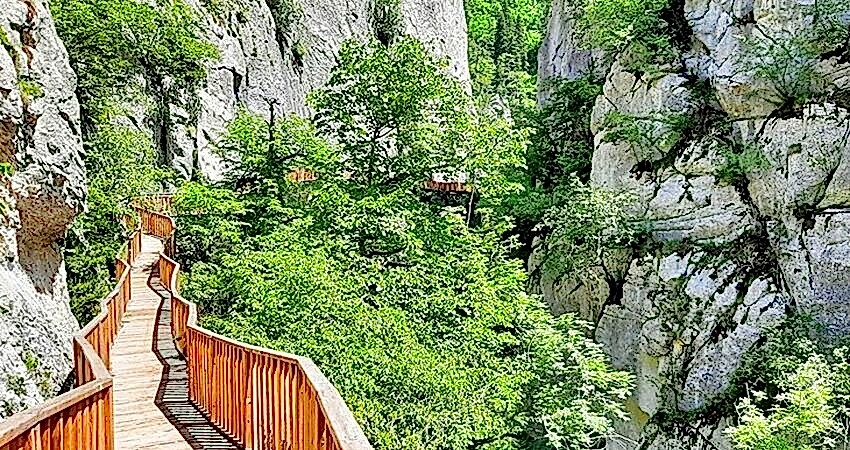 Ankara Çıkışlı Batı Karadeniz Turu