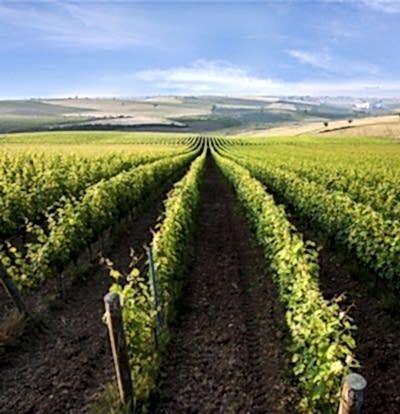 Ankara Çıkışlı Uçaklı Elazığ Bağ Bozumu Turu