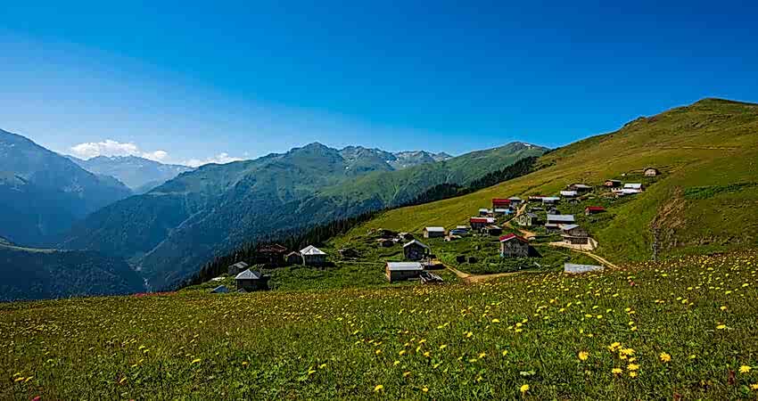 Şavşat Meydancık Macahel Artvin Yaylaları Turu 