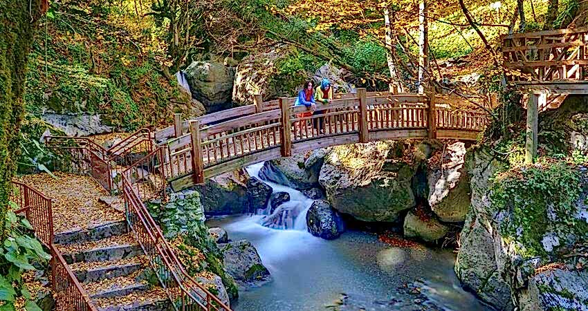 Düzce Şelaleleri Topuk  Yaylası Turu 