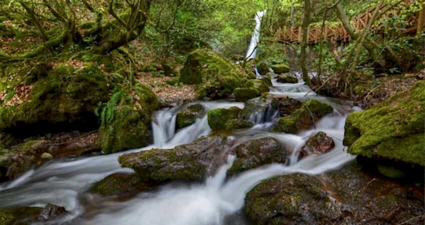 Düzce Şelaleleri Topuk  Yaylası Turu 