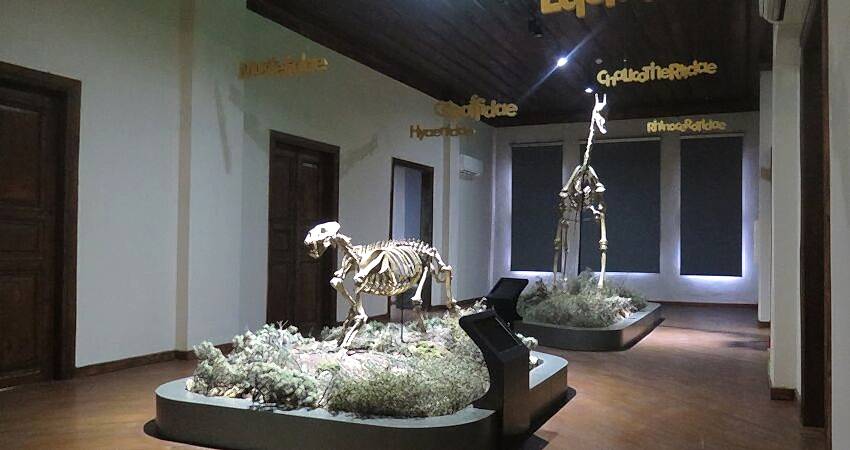 Günübirlik Çankırı ve Tuz Mağarası Turu