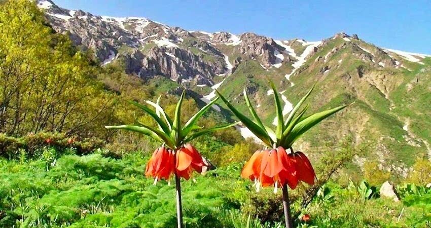 Uçaklı Hakkari Şemdinli Çukurca Cizre Turu