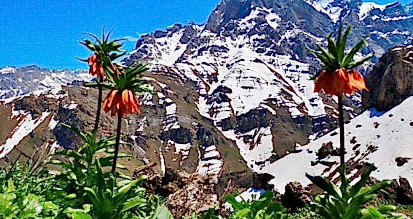 Uçaklı Hakkari Şemdinli Çukurca Cizre Turu