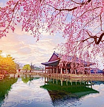 Elit Japonya Kore Turu THY ile 7 Gece Ekstra Turlar Dahil