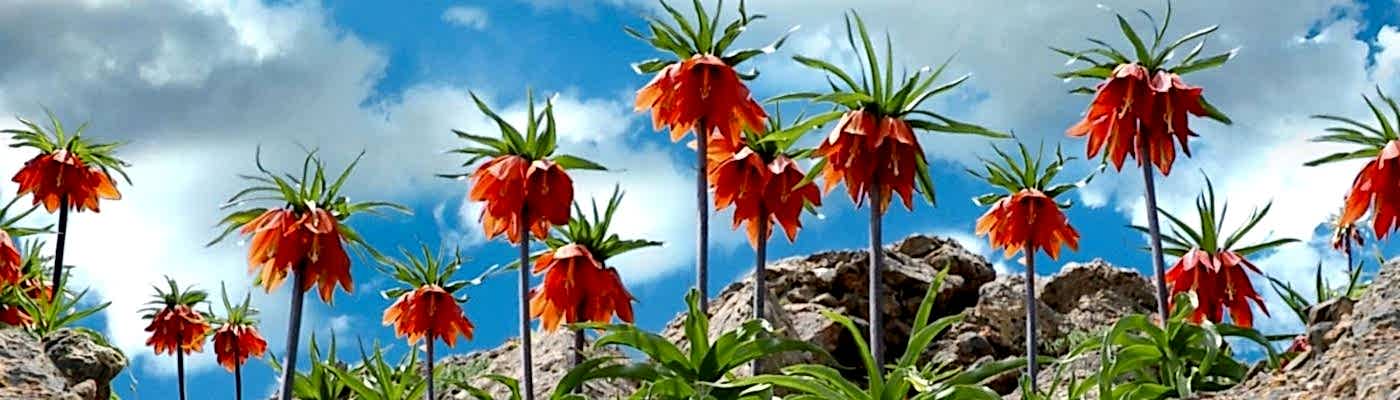 Hızlı Tren ile Tunceli Munzur Vadisi Kemaliye Divriği Turu 