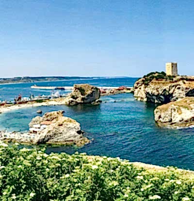 1 Mayıs Şile Ağva Polonezköy Sapanca Turu