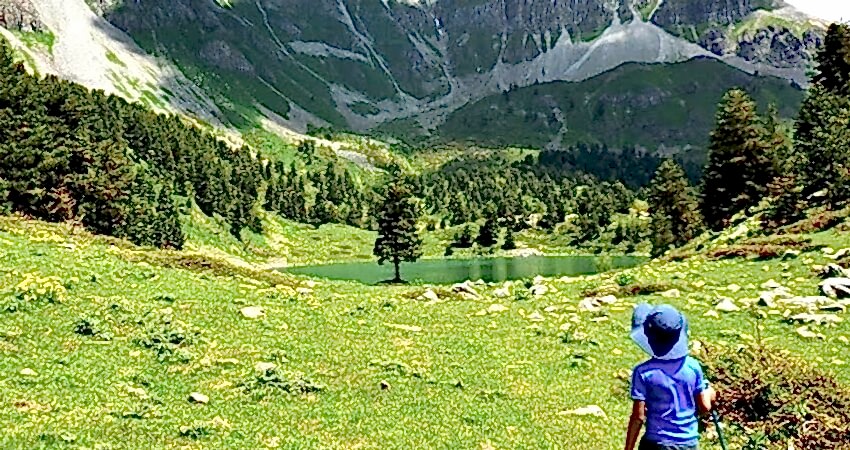 Şavşat Meydancık Macahel Artvin Yaylaları Turu 