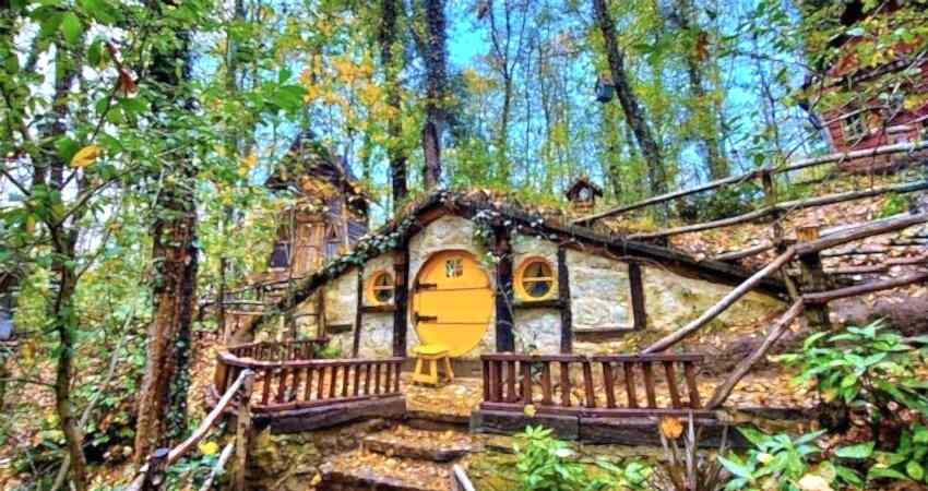 1 Mayıs Şile Ağva Polonezköy Sapanca Turu