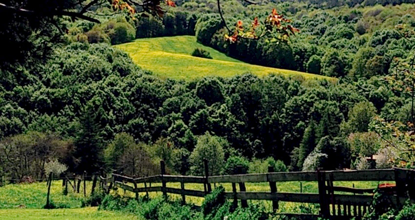 1 Mayıs Şile Ağva Polonezköy Sapanca Turu