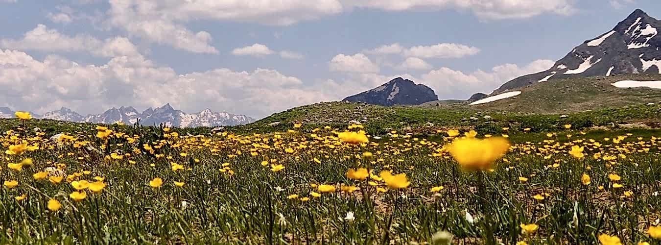 Uçaklı Hakkari Şemdinli Çukurca Cizre Turu