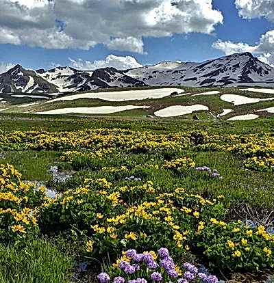 Uçaklı Hakkari Şemdinli Çukurca Cizre Turu